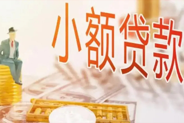 成都龙泉驿区贷私借